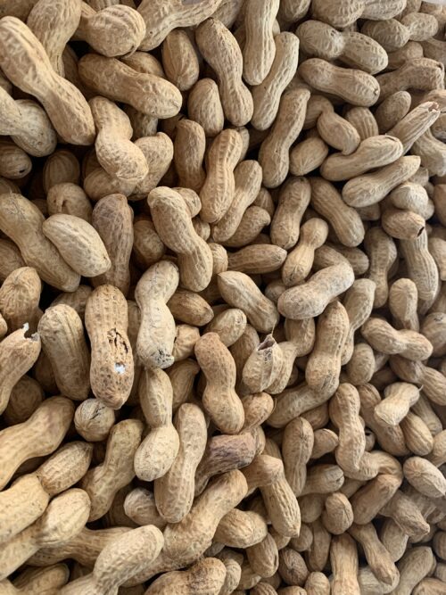 Arachide tostata 500gr